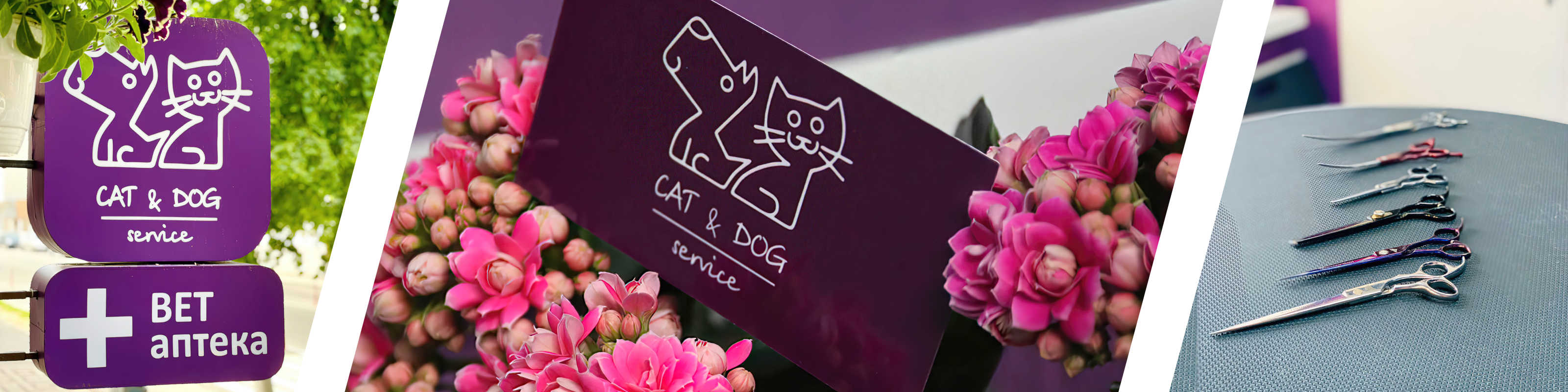 Cat&Dog Service - Ветеринарная клиника, груминг-салон, ветеринарная аптека в Гомеле